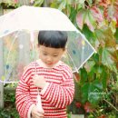 평창들꽃 | 감성가득 평창 야외스냅 비 오는 날 더 예뻤던 무모네사진관 주니어촬영 후기