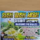 김장 3부...판매 가격은? 이미지