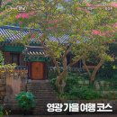 숲쟁이공원입구게시대 | 전남 영광 여행, 불갑산 상사화 축제와 함께 가기 좋은 가을 여행 코스 추천
