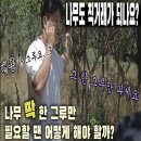 주만농장 티스토리