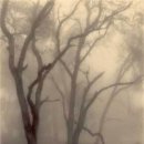 포토갤러리 이미지