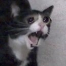 CU 포항제일점 | [리뷰/맛도리]CU 카다이프 쫀득 초코 후기