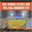 롯데자이언츠 야구경기 관람 ,주차, 예매, 중앙상단석 후기