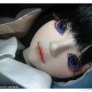 리에브르 이미지