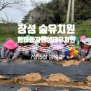 수완생태어린이집 이미지