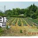 양평엔옥천공인중개사사무소 이미지