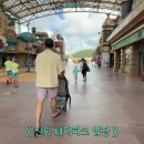 월드자동차공업사 | 아기랑 제주도 제주신화월드 신화테마파크 이용 후기 (운영시간, 요금, 모모쥬 동물원)