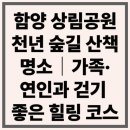함양산림 항공관리소 | 함양 상림공원, 천년 숲길 산책 명소 가족·연인과 걷기 좋은 힐링 코스