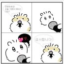 창훈컨설팅 | 현생 복귀한 후기..