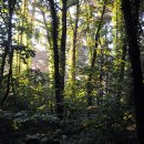 상선주유소 이미지