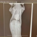 펫 파라다이스 동물병원 이미지