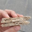 황주식품 이미지