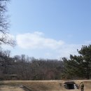 도대길 Daum카페