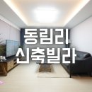 용인능원약국 네이버블로그