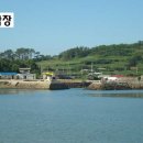 소마도 티스토리