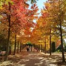 경상남도수목원(수생식물원) 이미지