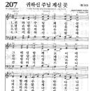 새찬송가 207장 - 귀하신 주님 계신 곳 이미지