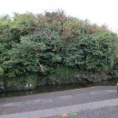 오조리-2 이미지