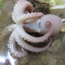 독천식당 이미지