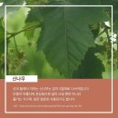 에듀나무 이미지