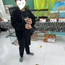 장호원초병설 네이버블로그