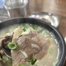 전통본가할매곰탕 | [내돈내산] 죽도시장 맛집, 70년전통본가할매곰탕 포항에서 꼭 들려야 할 든든한 한끼!