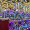 미니돌 홍대점 이미지