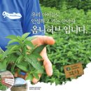 아이마미