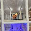 라온초등학교 | <라온 키즈룸>*내돈내산* 울산 남구 60평대 1세부터 초등학교 고학년까지 가능한 키즈룸 후기