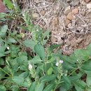 꽃마을 약수터 이미지