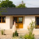 스테이 띠앗 이미지