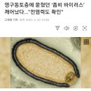 돌이킬 수 없는 지구온난화 영구동토 근황 이미지