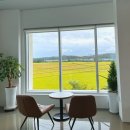 소무 | 포항 흥해 [소무랑]-논뷰가 이쁜 시골 카페, 디저트 솔직 리뷰