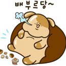 대박세꼬시 이미지