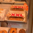 예주라이온스 | 6월 중순 일상 (아주 뒤늦은..)