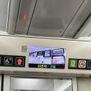 WR(대구광역시 중구)-61[중앙대로]-하-12 | 맛집투어 1박2일 대구여행 후기 (왕거미식당, 이얼즈카페, 걸리버막창, 맨션5, 스파크랜드, 신라식당)