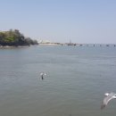 장애인산악회 이미지