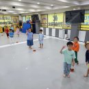 용인대미르태권도 - 원주시 배울로 49 | 용인대미르태권도