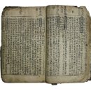 보물이네 이미지