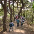 하회마을관리사무소 이미지