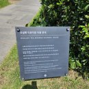 제주아이노스 | 부모님과 함께 제주여행 1일차 - 사계, 모슬포항