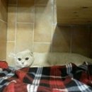 세계로 동물병원 이미지