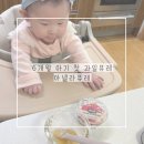 로지오가닉 농장 | 6개월 아기 과일퓨레 아넬라 퓨레 변비끝 최저가 공구 일정