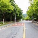 도심건강길 3길 이미지