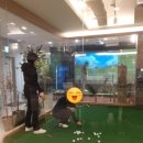드림54 골프아카데미 이미지