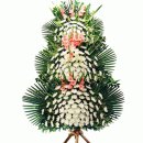 성서3차동서타운 이미지