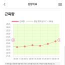 디블럭엔터테인먼트(주) | 퀴즈 장형우 교수(아구통 교수님)38kg 감량 이야기 보고 다시 시작한 쥬비스 수원인계점 3주 다이어트 후기