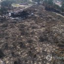 소나무PC방 이미지