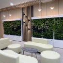 수직의 정원 이미지