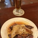 강아지나라 이미지